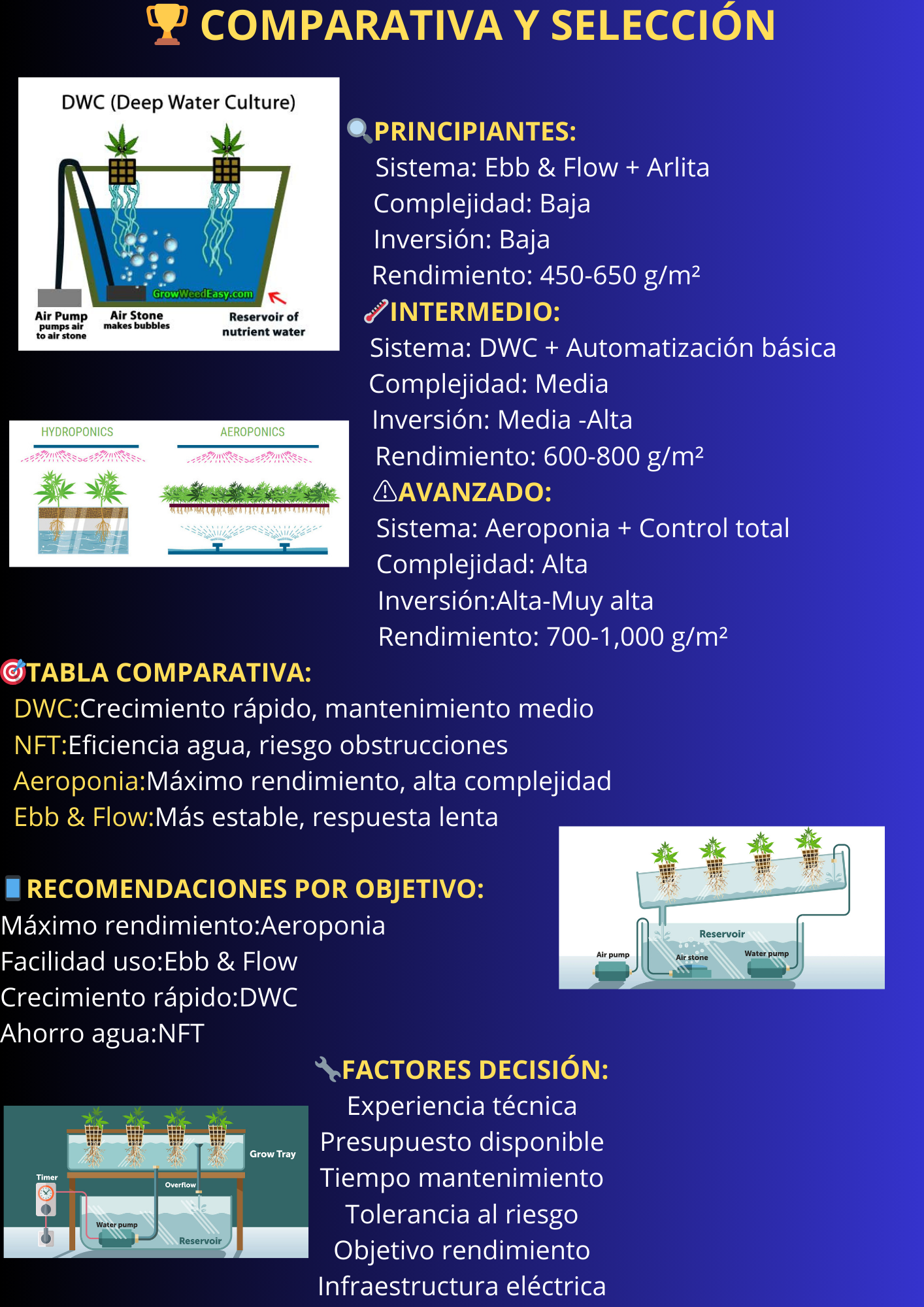 Sistema Hidropónico 6